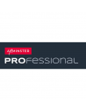 AXMINSTER PROFESSIONAL